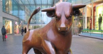 Caracteristicas de Tauro - TauroHoy.net